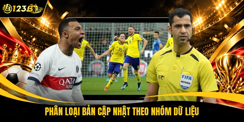 Phân loại bản cập nhật theo nhóm dữ liệu