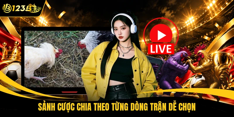 Sảnh cược chia theo từng dòng trận dễ chọn